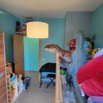 Imagen de WhatsApp 2025-05-05 a las 11.48.19_a5db59aa