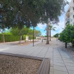 Imagen de WhatsApp 2025-05-05 a las 11.48.21_4e5244a1